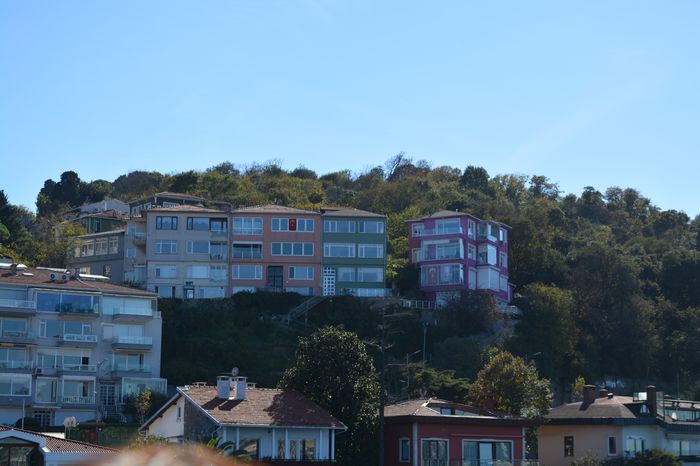 image-.jpg