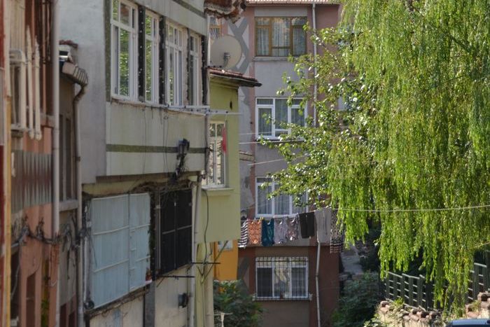 image-.jpg