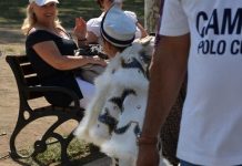 Unrest in the Palace