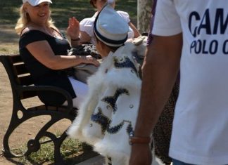 Unrest in the Palace