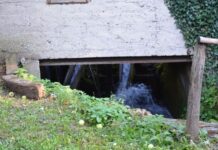 Strict Palace Security