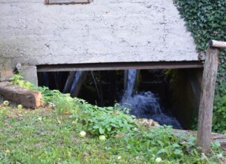 Strict Palace Security