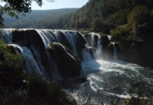 Languages Spoken in Hungary