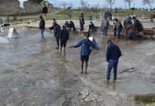 Occupational Expertise Measures