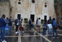 Role of Microregional Dentists